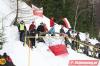 084 Kibice